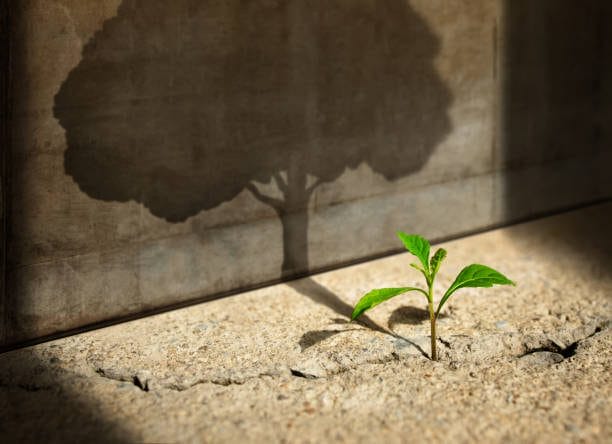 Navigate the 4 stages of Business Growth: A pro in-depth guide
